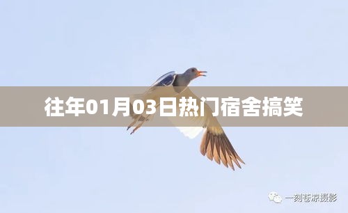 宿舍歡樂瞬間，歷年一月三日爆笑回顧
