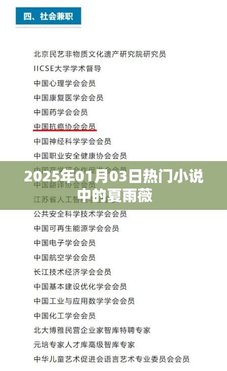 夏雨薇，2025年超人氣小說(shuō)主角，魅力非凡