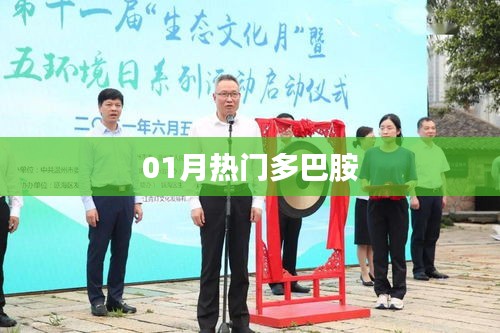 熱門多巴胺，揭秘一月新動向