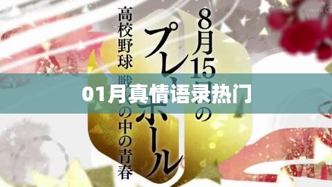 精選真情語錄，一月溫暖話語