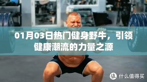 熱門健身野牛，引領健康潮流的力量之源