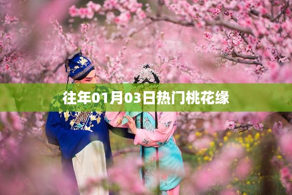 往年一月初桃花盛開，緣分盛開日