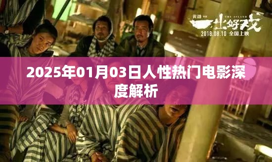 人性探索，深度解析一部熱門電影