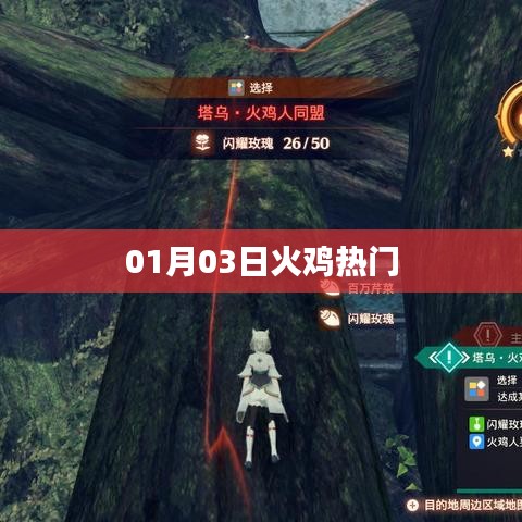 火雞熱門風(fēng)潮，揭秘背后的故事
