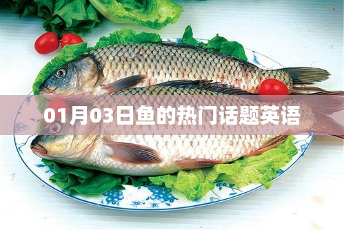 熱門(mén)話題英語(yǔ)，聚焦魚(yú)類世界，最新動(dòng)態(tài)一網(wǎng)打盡！