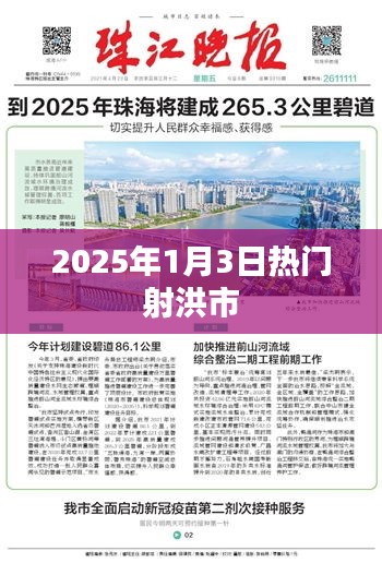 射洪市熱門活動預告，2025年1月3日盛事盤點