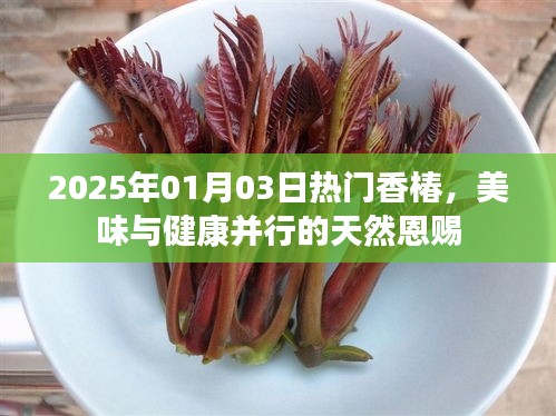 香椿盛宴，美味與健康并行的天然恩賜（2025年）