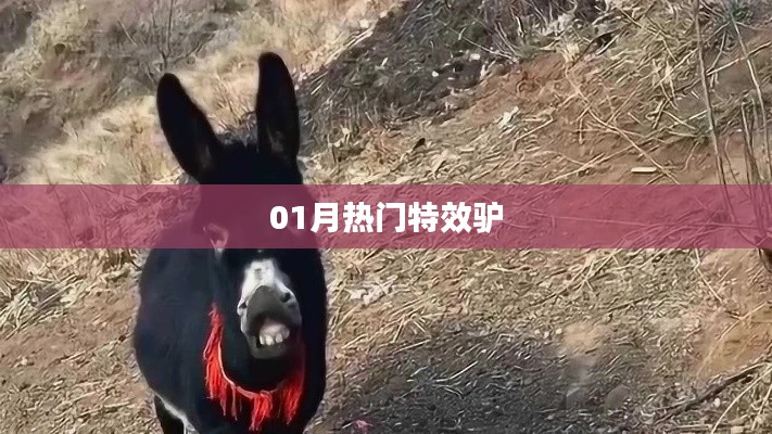 特效驢，揭秘一月熱門(mén)潮流元素！