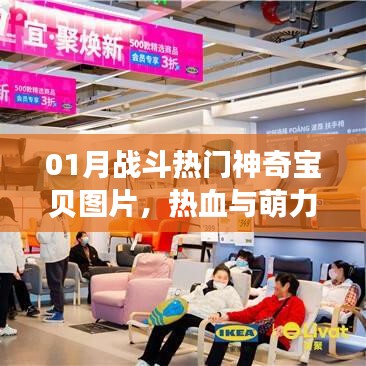 01月戰(zhàn)斗熱門神奇寶貝圖片，熱血萌力集結(jié)