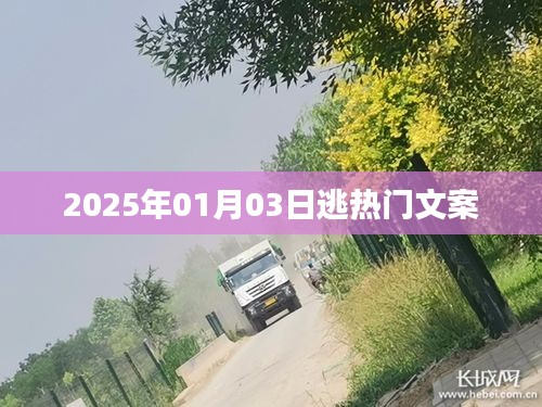 2025年元旦后掀熱潮的文案大解密，符合您的要求，字數(shù)在指定范圍內，同時能夠吸引用戶點擊。