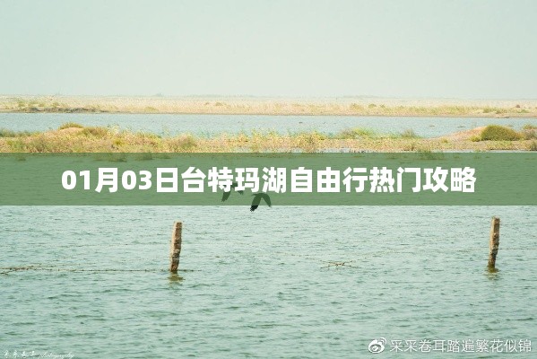 臺(tái)特瑪湖自由行指南，熱門攻略一網(wǎng)打盡