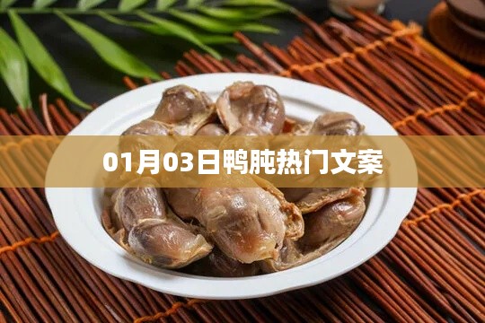 鴨肫熱門文案大揭秘，精選內容，不容錯過！