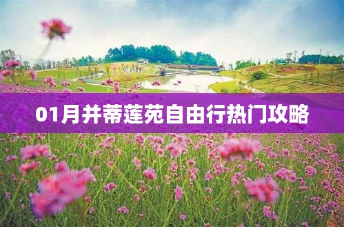 并蒂蓮苑自由行指南，熱門攻略一網(wǎng)打盡！