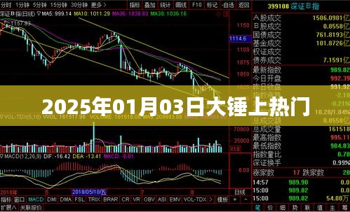 大錘引爆全網(wǎng)熱議，2025年1月3日熱門時(shí)刻