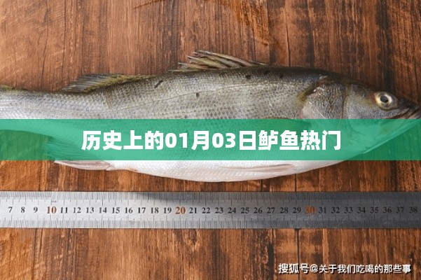 歷史上的鱸魚盛事，一月三日回顧