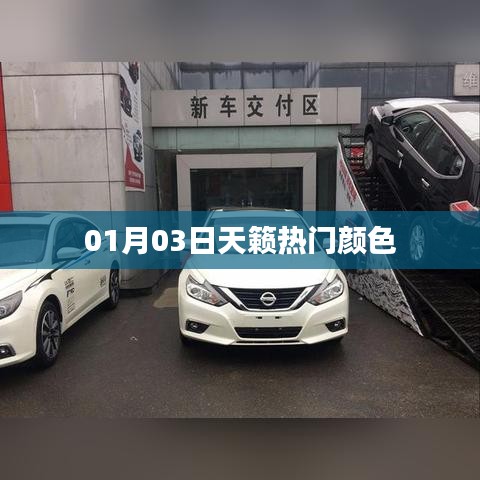 天籟熱門顏色大盤點(diǎn)，時(shí)尚之選，不容錯(cuò)過
