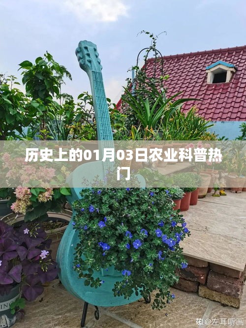 歷史上的今日，一月三日農(nóng)業(yè)科普知識(shí)熱點(diǎn)