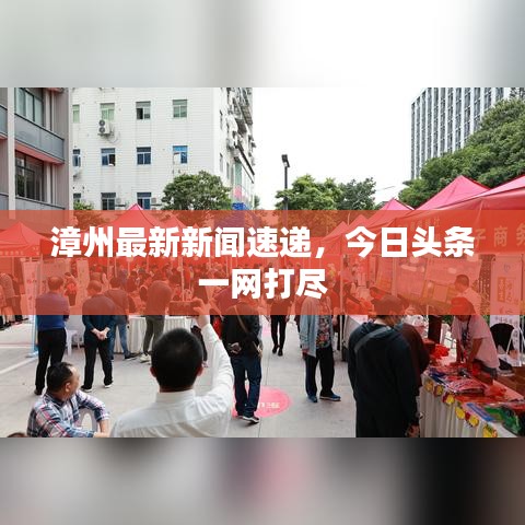 漳州最新新聞速遞，今日頭條一網(wǎng)打盡