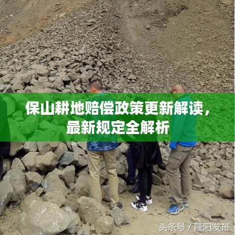 保山耕地賠償政策更新解讀，最新規(guī)定全解析