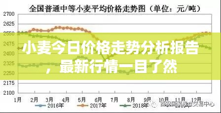小麥今日價格走勢分析報告，最新行情一目了然