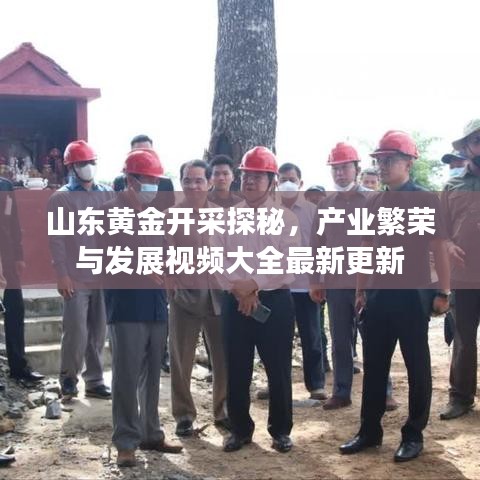 山東黃金開采探秘，產(chǎn)業(yè)繁榮與發(fā)展視頻大全最新更新