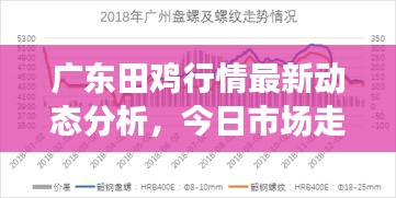 廣東田雞行情最新動態(tài)分析，今日市場走勢揭秘
