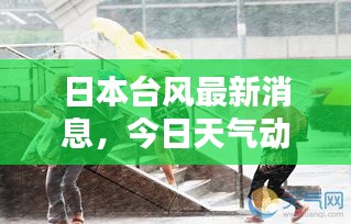 日本臺風最新消息，今日天氣動態(tài)及影響報告