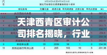 天津西青區(qū)審計公司排名揭曉，行業(yè)影響力榜單重磅出爐！