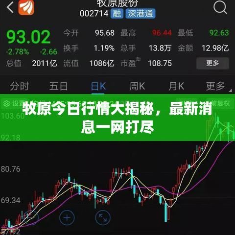 牧原今日行情大揭秘，最新消息一網(wǎng)打盡
