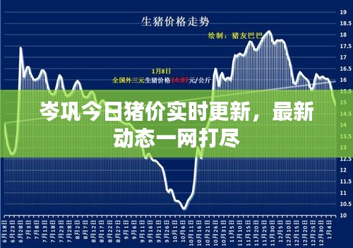岑鞏今日豬價實(shí)時更新，最新動態(tài)一網(wǎng)打盡