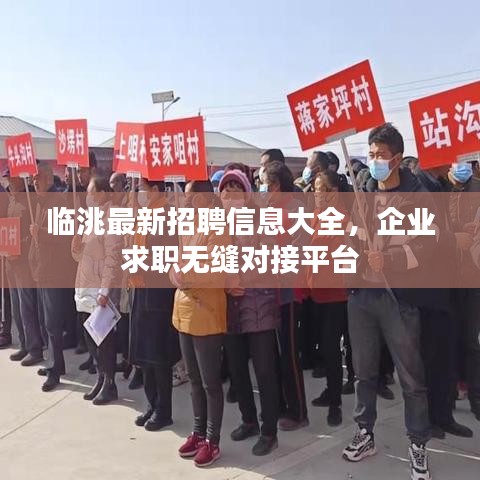 臨洮最新招聘信息大全，企業(yè)求職無縫對接平臺