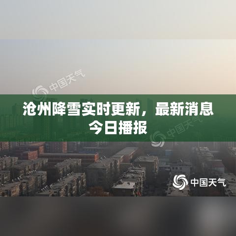 滄州降雪實(shí)時(shí)更新，最新消息今日播報(bào)