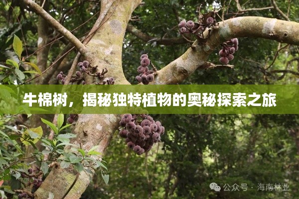 欣喜若狂 第4頁