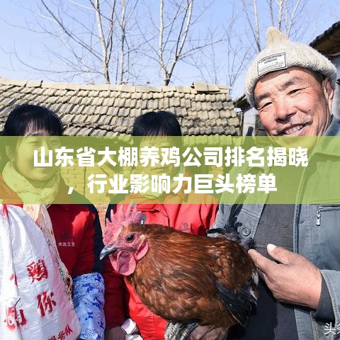 山東省大棚養(yǎng)雞公司排名揭曉，行業(yè)影響力巨頭榜單