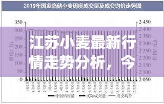 江蘇小麥最新行情走勢分析，今日市場動(dòng)態(tài)揭秘
