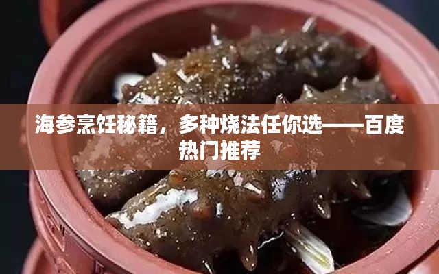 海參烹飪秘籍，多種燒法任你選——百度熱門推薦