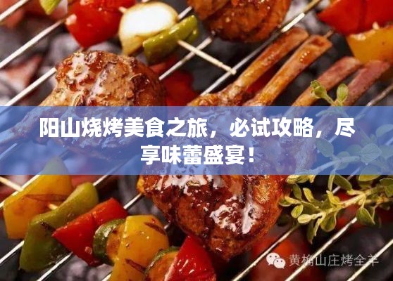 陽山燒烤美食之旅，必試攻略，盡享味蕾盛宴！