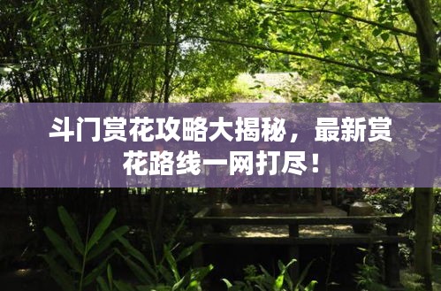斗門賞花攻略大揭秘，最新賞花路線一網(wǎng)打盡！