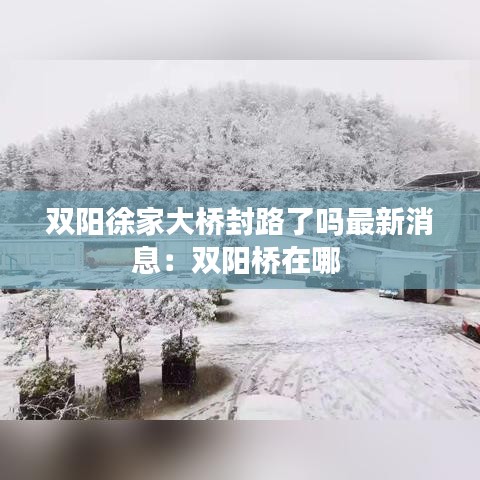 雙陽(yáng)徐家大橋封路了嗎最新消息：雙陽(yáng)橋在哪 