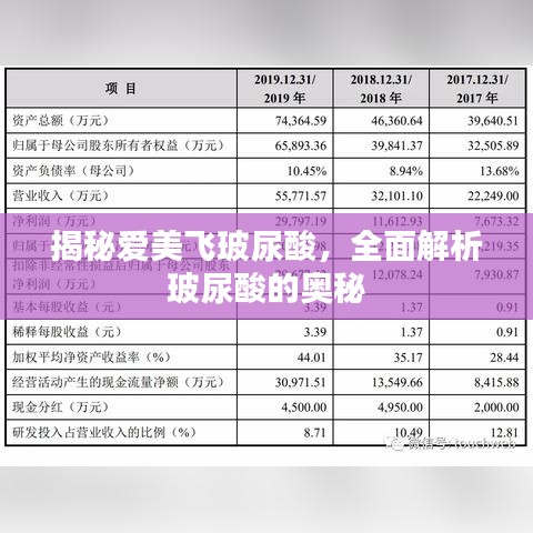 揭秘愛美飛玻尿酸，全面解析玻尿酸的奧秘