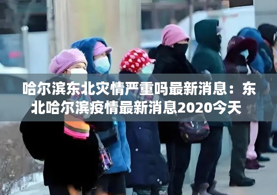哈爾濱東北災(zāi)情嚴重嗎最新消息：東北哈爾濱疫情最新消息2020今天 