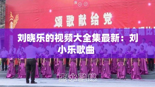 劉曉樂(lè)的視頻大全集最新：劉小樂(lè)歌曲 
