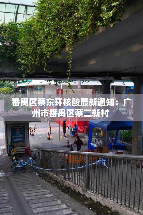 番禺區(qū)蔡東環(huán)核酸最新通知：廣州市番禺區(qū)蔡二新村 