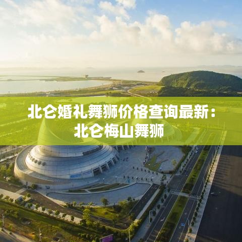 北侖婚禮舞獅價(jià)格查詢(xún)最新：北侖梅山舞獅 