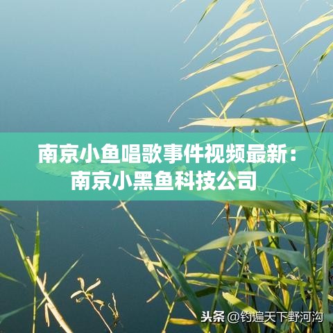 南京小魚(yú)唱歌事件視頻最新：南京小黑魚(yú)科技公司 