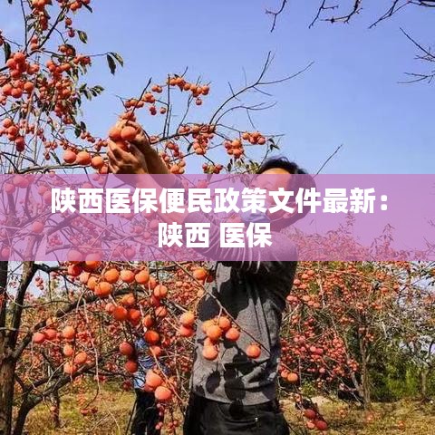法貴必行 第3頁(yè)