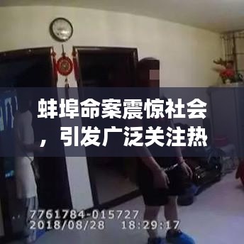 蚌埠命案震驚社會，引發(fā)廣泛關注熱議