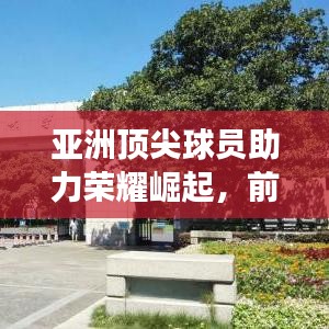 亞洲頂尖球員助力榮耀崛起，前十名將引領(lǐng)球隊(duì)輝煌之旅！