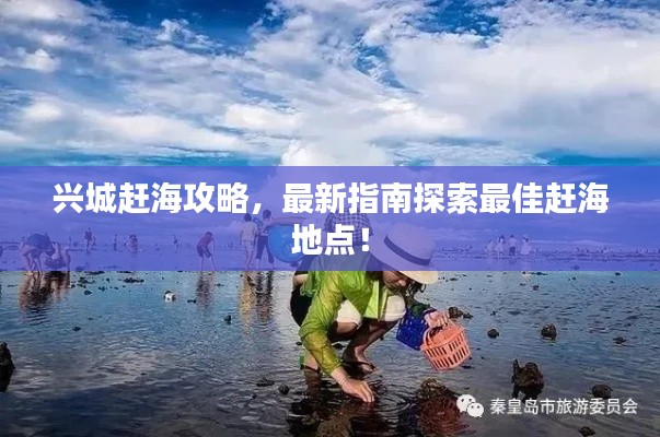 興城趕海攻略，最新指南探索最佳趕海地點(diǎn)！