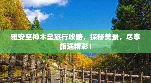 雅安至神木壘旅行攻略，探秘美景，盡享旅途精彩！